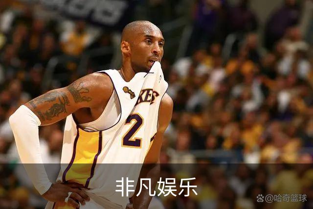 非凡娱乐公司简介图片